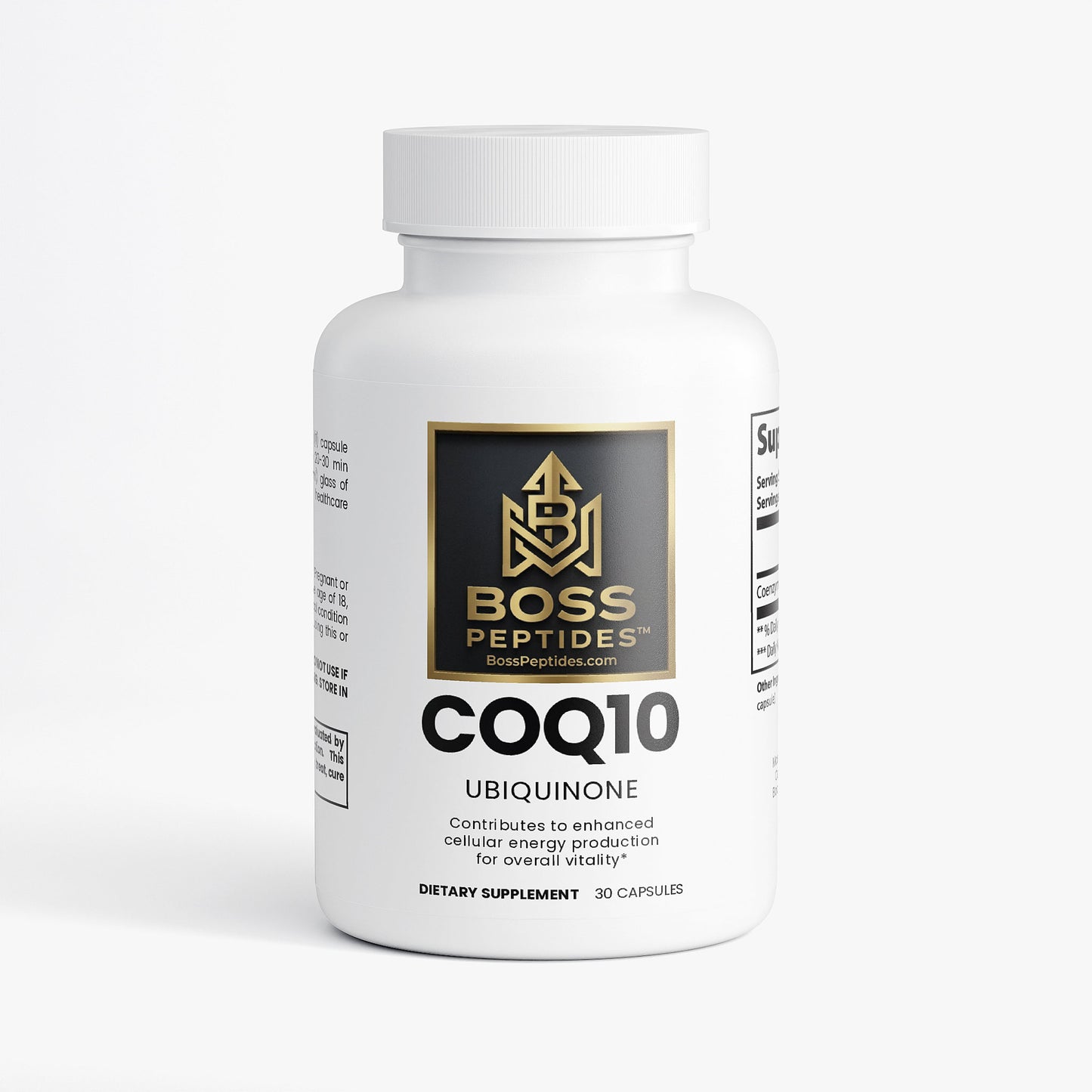 CoQ10 Ubiquinone