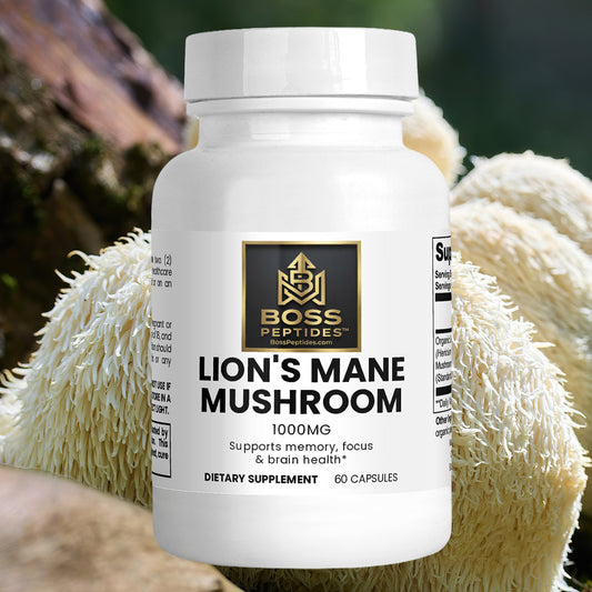 Lion's Mane Mushroom